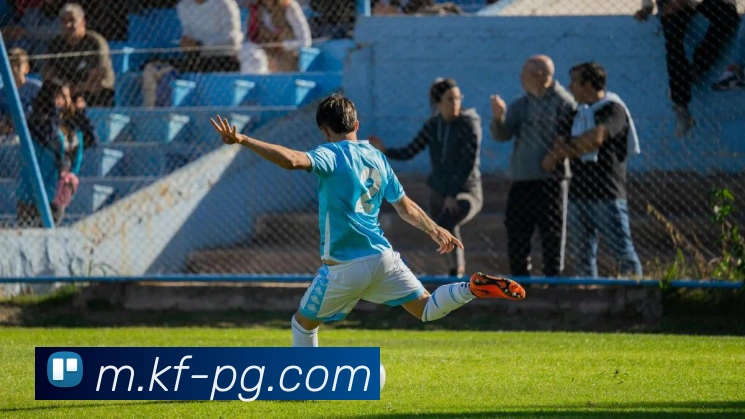 pg电子平台生态图